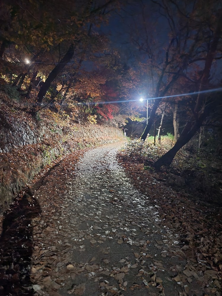 봉의산 등산 앨범 사진