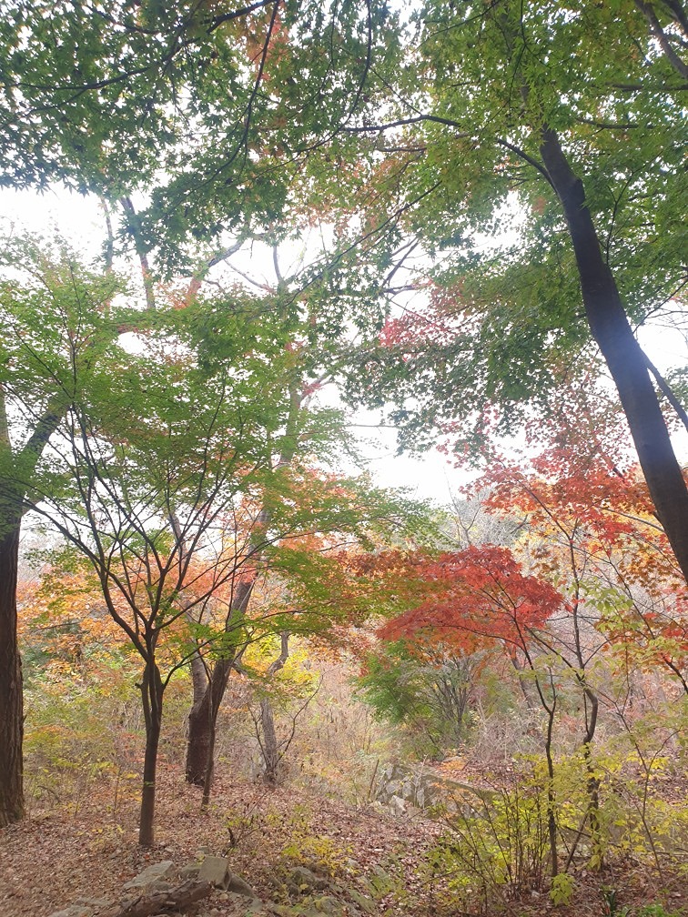 여섯번째 목요산행~~