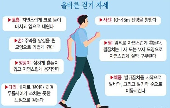 매일 8000보 건강걷기
매일 8000보를 걷되, 그 안에 20분 빨리 걷기(속보)가 포함되면, 생활 습관병 발병은 10분의 1로 줄어든다. 

하루 2000보 이하로 걷고 속보가 없으면 나중에 노쇠하여 누워 지내게 된다. 하루에 걷는 양이 약 2000보씩 늘어나면 질병 예방 건강 범위가 점점 넓어진다. 하루 4000보에 속보 5분이면, 우울증이 예방된다. 5000보에 속보 7.5분이면, 나중에 요양원에 들어가는 것을 막아준다. 7000보에 속보 15분은 대장암, 유방암 등 암 예방과 동맥경화, 골다공증 개선 효과를 낸다. 

하루 만보를 걸으면서 속보를 30분 하면, 고혈압·고혈당·고지혈증 등이 섞여 있는 대사 증후군이 예방된다. 이런 비율은 여러 건강 단체에서 걷기 운동의 건강 효과 표준 지표로 쓰이고 있다.

너무 많이 걸어서 무릎이나 다리에 부담이 생기는 것은 피해야 한다. 걷기 자체를 하루 일상의 하나로 인식하면, 자연스레 걷기가 습관화된다. 하루 8000보, 20분 속보를 2개월 이상 실천하면, 장수 유전자 스위치가 켜지는 효과를 낸다.