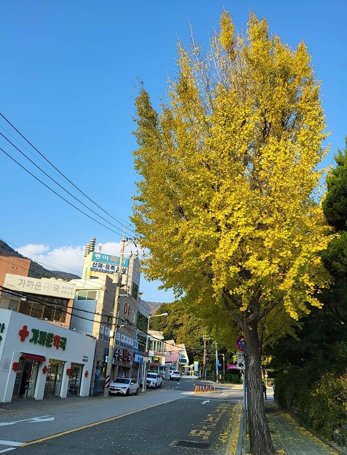 부산동아대학교병원