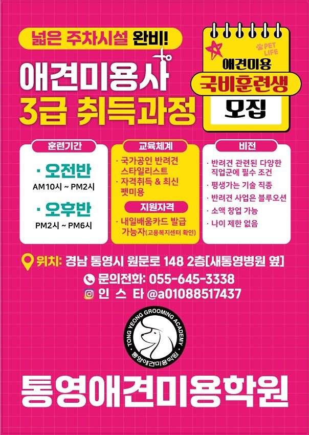 반려견 산책 모임 앨범 사진