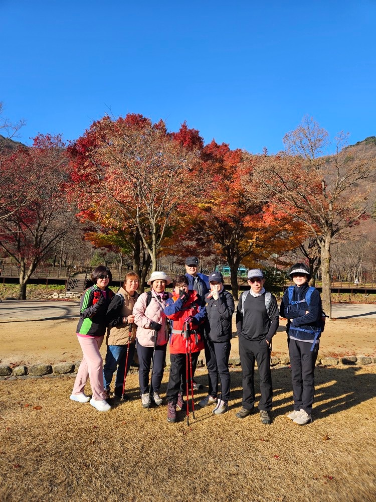 설렘으로 떠난 문경세재~
오솔길 회원님들과  정이 넘치는  푸짐한 간식 을 가지고 출발하는 걸음 마다 인생의 소중함을  느끼는 하루 였다.
단풍나무 잎은  말라 꽃 처럼 매달려있는것이  마지막 희망을 잡고 있는 나를 닮은것 같았다.
하지만 그것이 슬픔 보다는 아름답게 가려는 마음으로 느껴졌다.
삶이란 그렇게 익어가는것 아니던가~~
우리 오솔길도 아릅답게  익어갔음  좋겠다는 바램 ~~
힘들었지만 누구하나 불만없이  웃으며 간식 타임엔 즐겁게 먹고 또 부지런히 오르고  내려오는길 
다들  오길 잘했어요.
안왔음 후회할뻔했어요.
하는데 보람을 느끼는 하루였다.
피피오님 일정 잡아준 덕분에
솔손수범 운전해주신  덕분에
회원님들  긍정의 아이콘덕분에
오늘 하루멋찐 하루를 였습니다.
함께해주신 분들 감사했습니다.
부족하지만 이것으로 후기 가름할까합니다

다음  일정에서 또 뵙겠습니다.