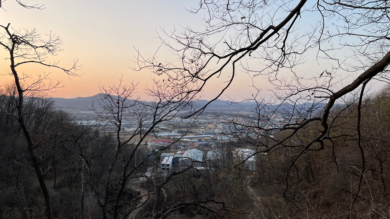 오늘은 양주울트라님과 산 두 개를 올랐습니다.
오늘도 우리 엽전은 얼굴을 보여주지 않았지만…
도락산 능선에서 전투식량도 까먹고 이런저런 이야기를 하며사방 천지를 다 뒤지고 내려왔네요.

두 번째 사진은 흔히 일본전이라고 불리는 것입니다.