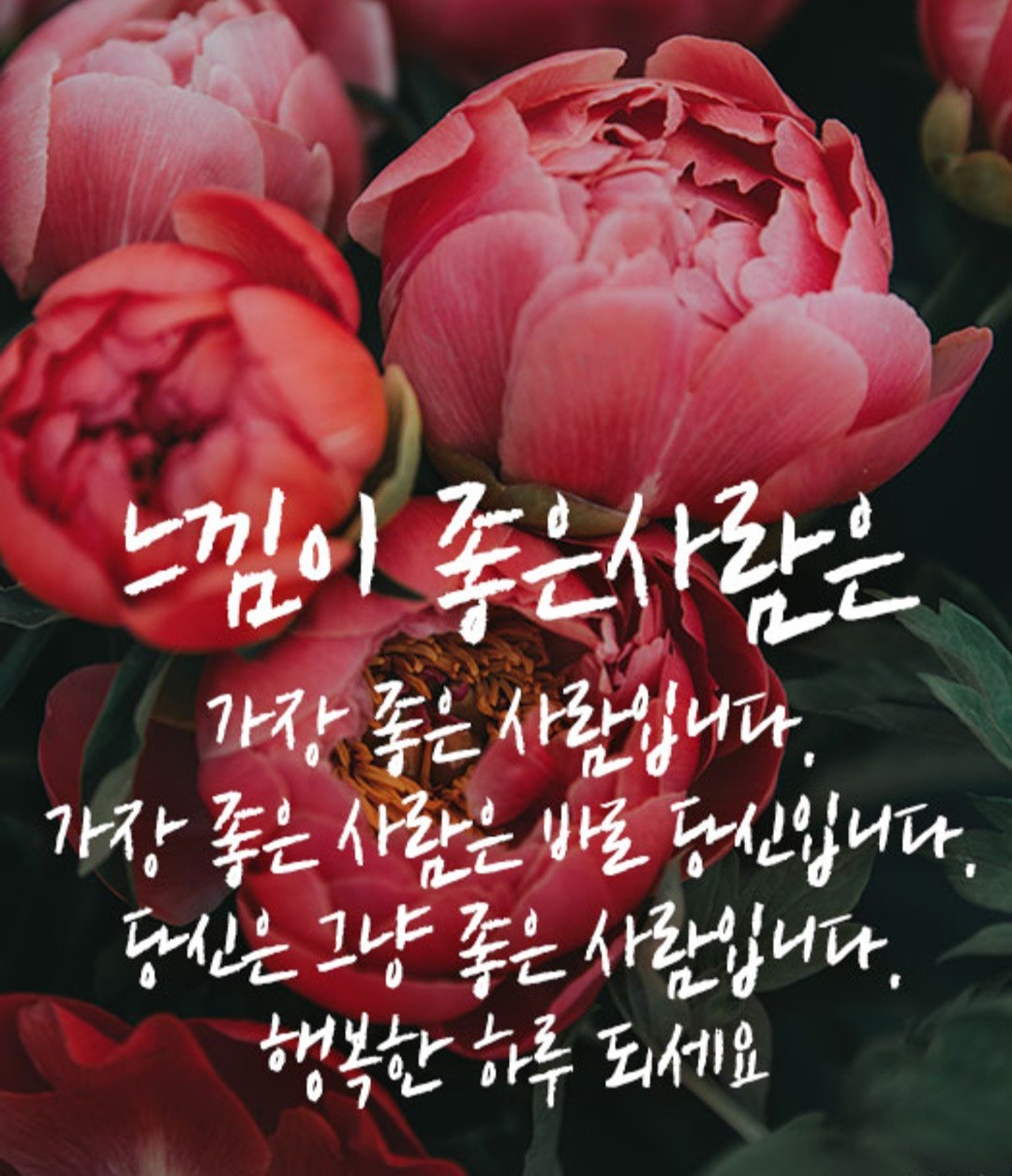 ♡4050♡돌싱싱글 인연만들기 앨범 사진