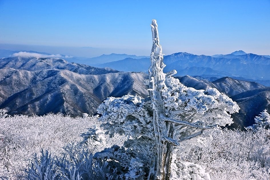 백년지기 (인연만들기) 앨범 사진