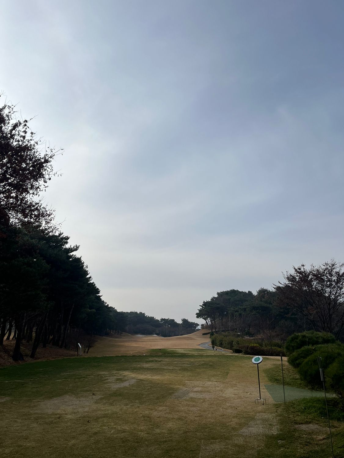 위너스 골프⛳️(8090젊은골퍼) 앨범 사진