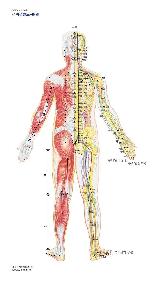 몸살림 건강/정보/운동/봉사 앨범 사진