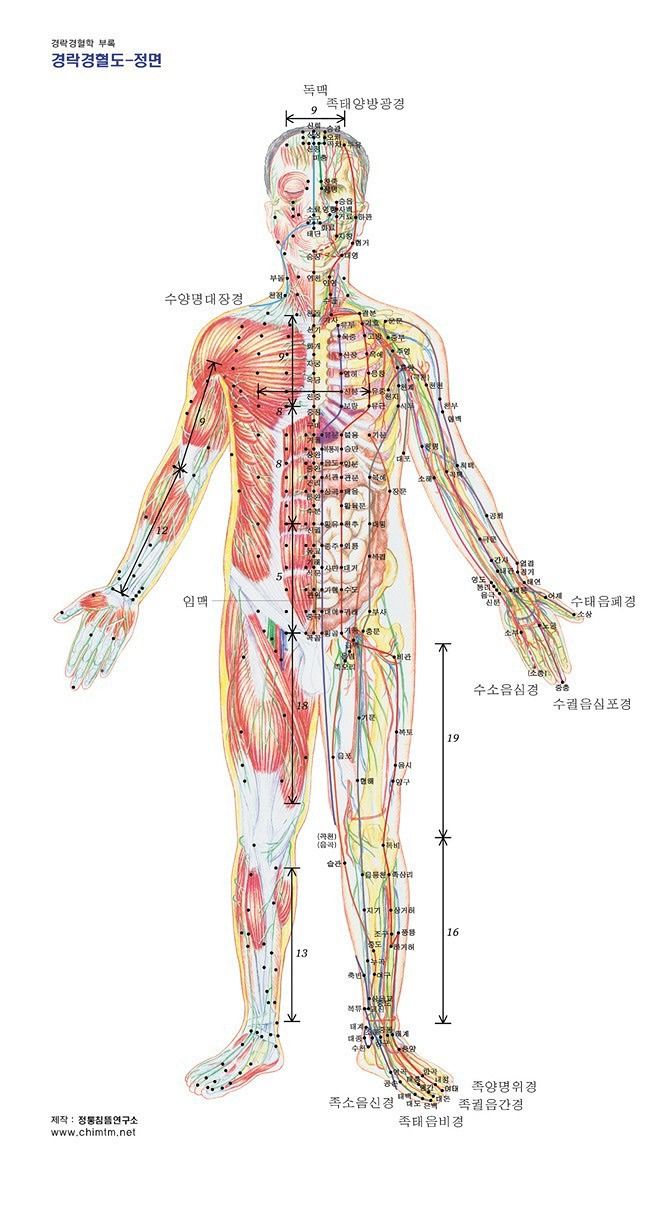 몸살림 건강/정보/운동/봉사