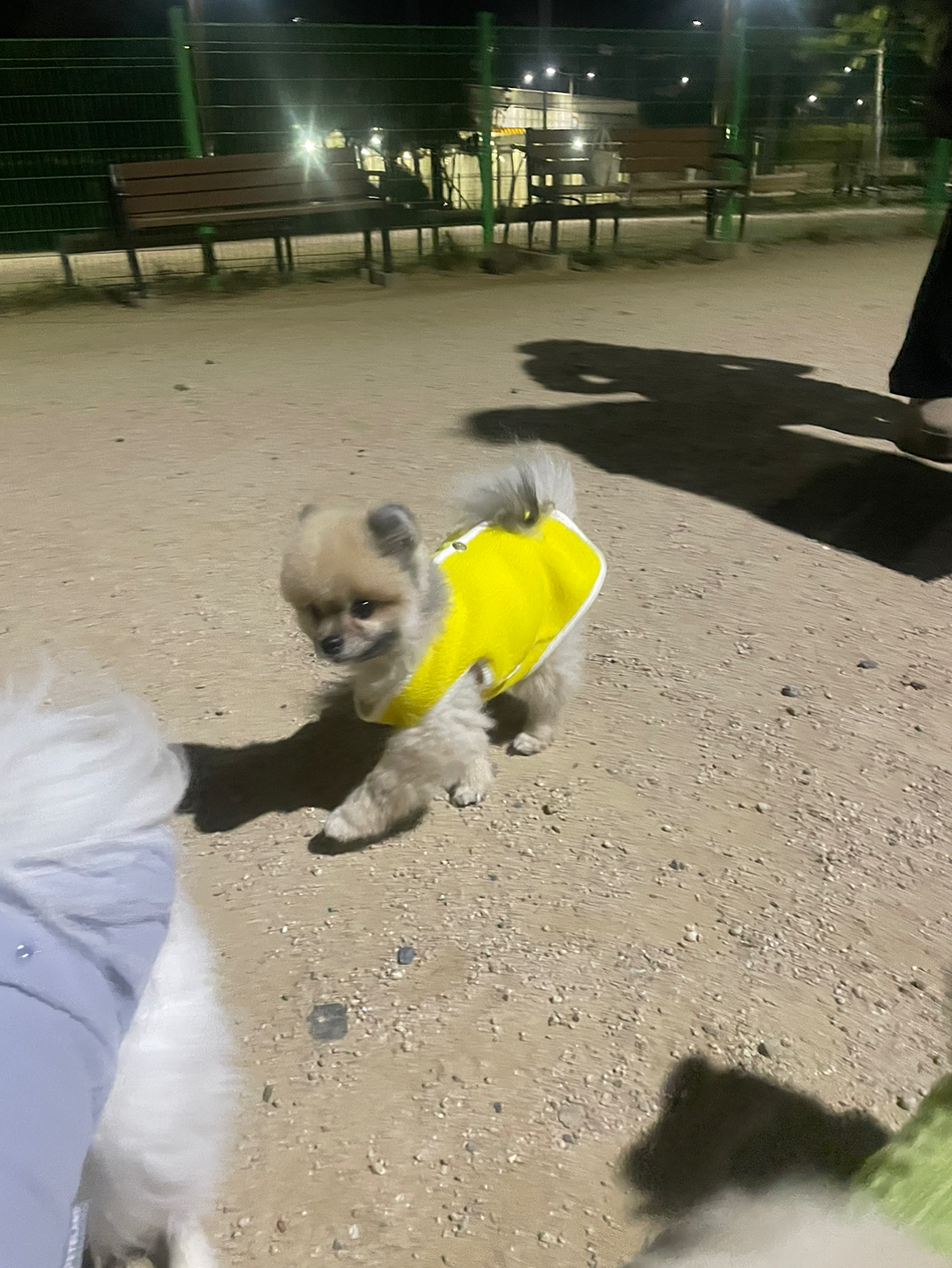 바다 하늘 메리 쿠자 두광 즐거운 시간‼️
다음엔 더 많이 더 좋은분들 함께해요 💕