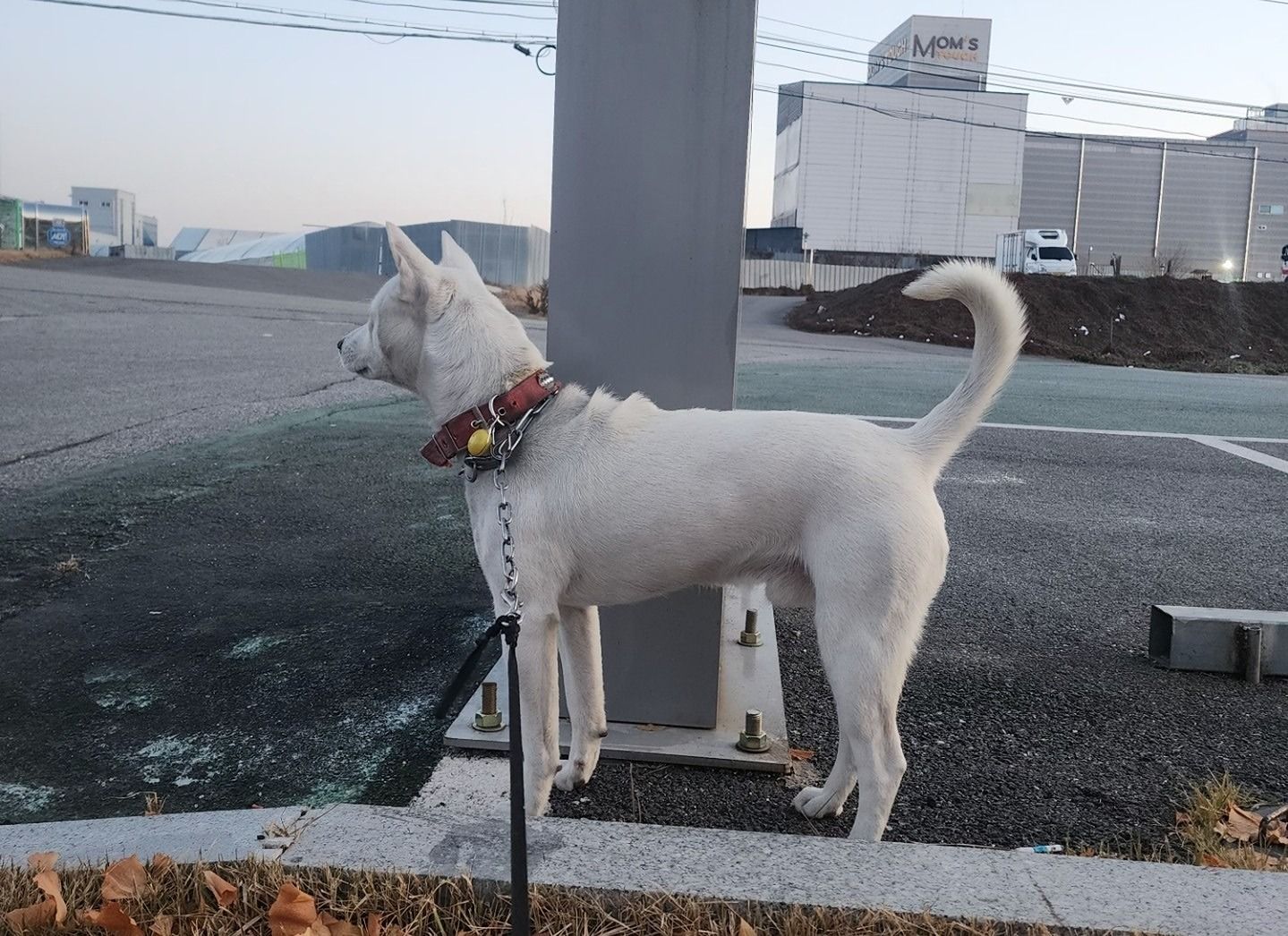 23년 🐰 토끼띠맘  앨범 사진