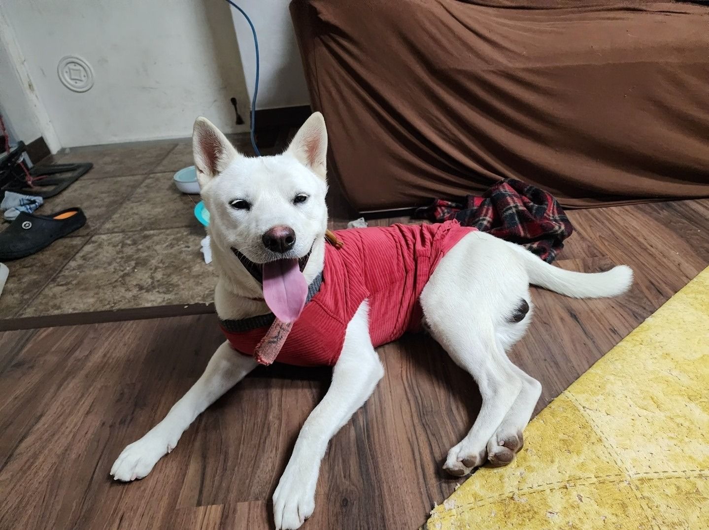 20-24생 육아맘 모여🥰(85~00까지) 앨범 사진