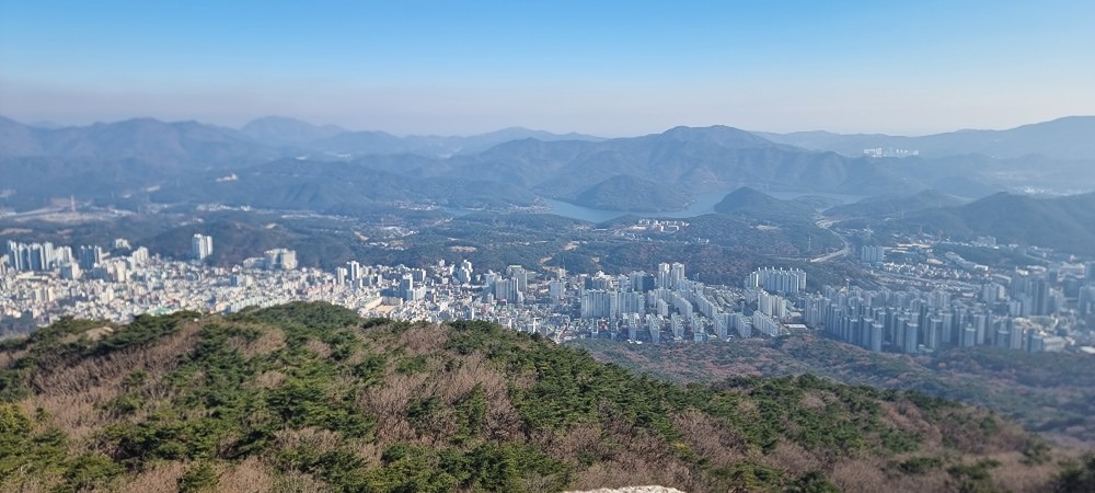 고단봉