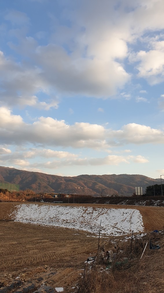 스마트폰 사용법 앨범 사진