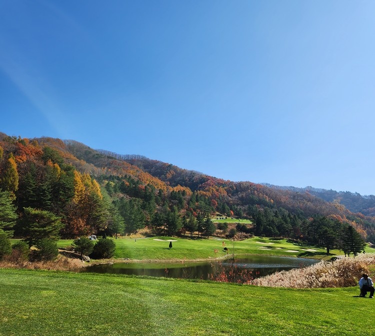 ⛳️버디레이디스(40대 여성 골프)⛳️ 앨범 사진