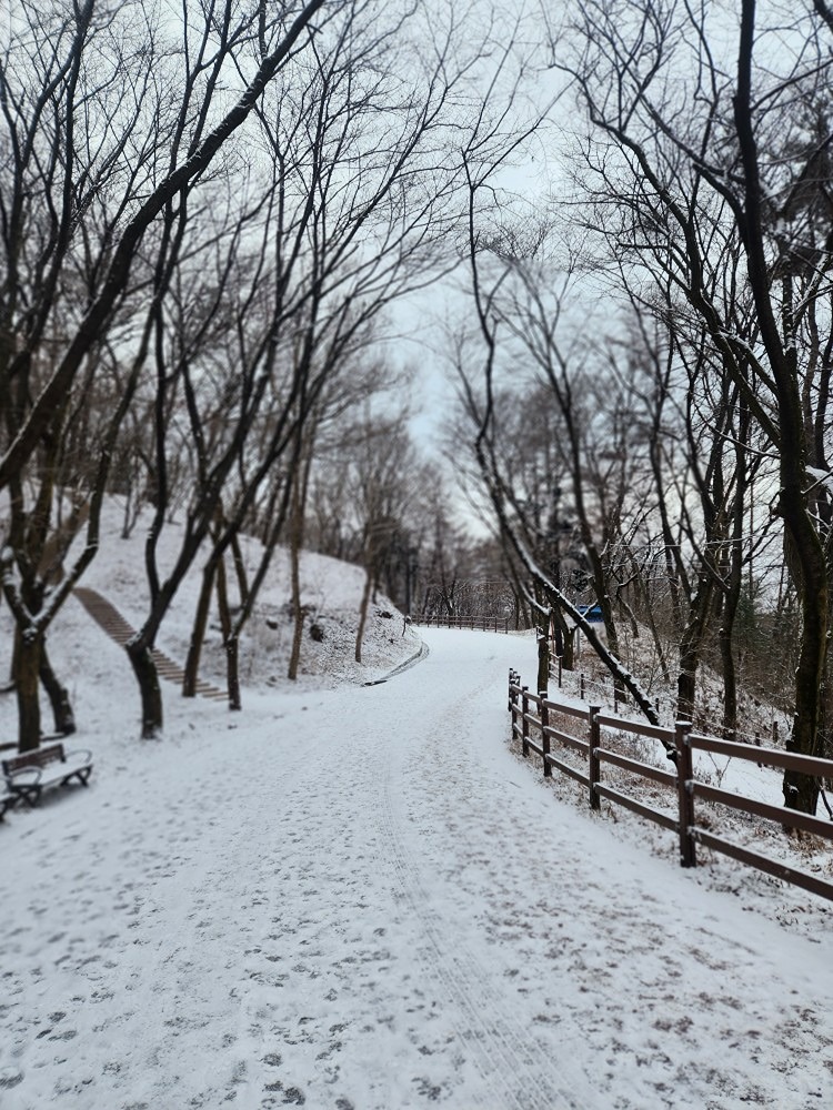 정기산행 1월19일(일) 보문산걷기 오전10시