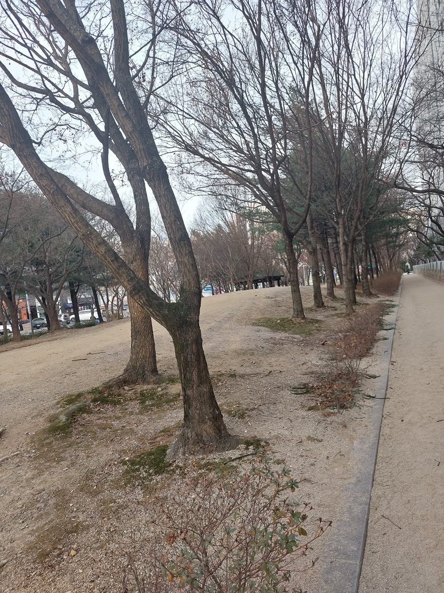 요즘 좀 추워도 오후에는 영상이라 맨발걷기 하기 수월하죠?
열심히  맨발걷기하여
건강해지시길요. ㅎㅎ
