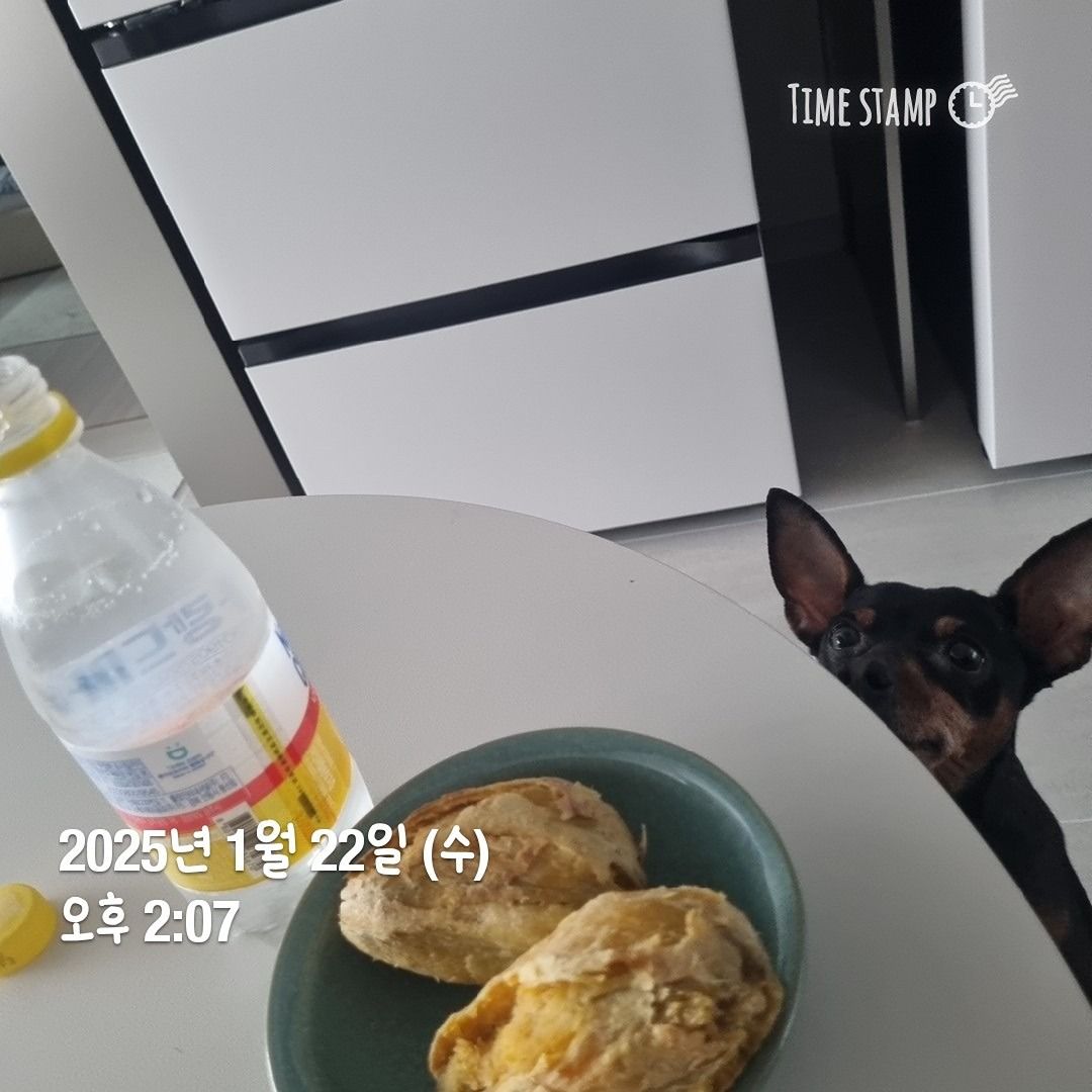 30대 다이어터 모임, 식단사진 하루1번