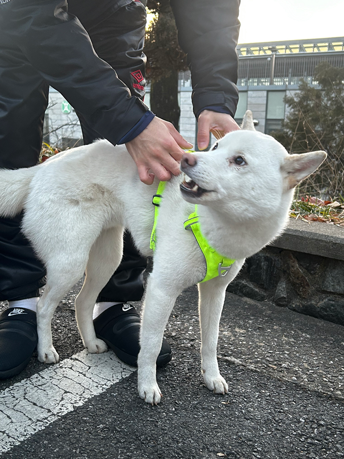 신구대학교 우촌박물관 picture 2