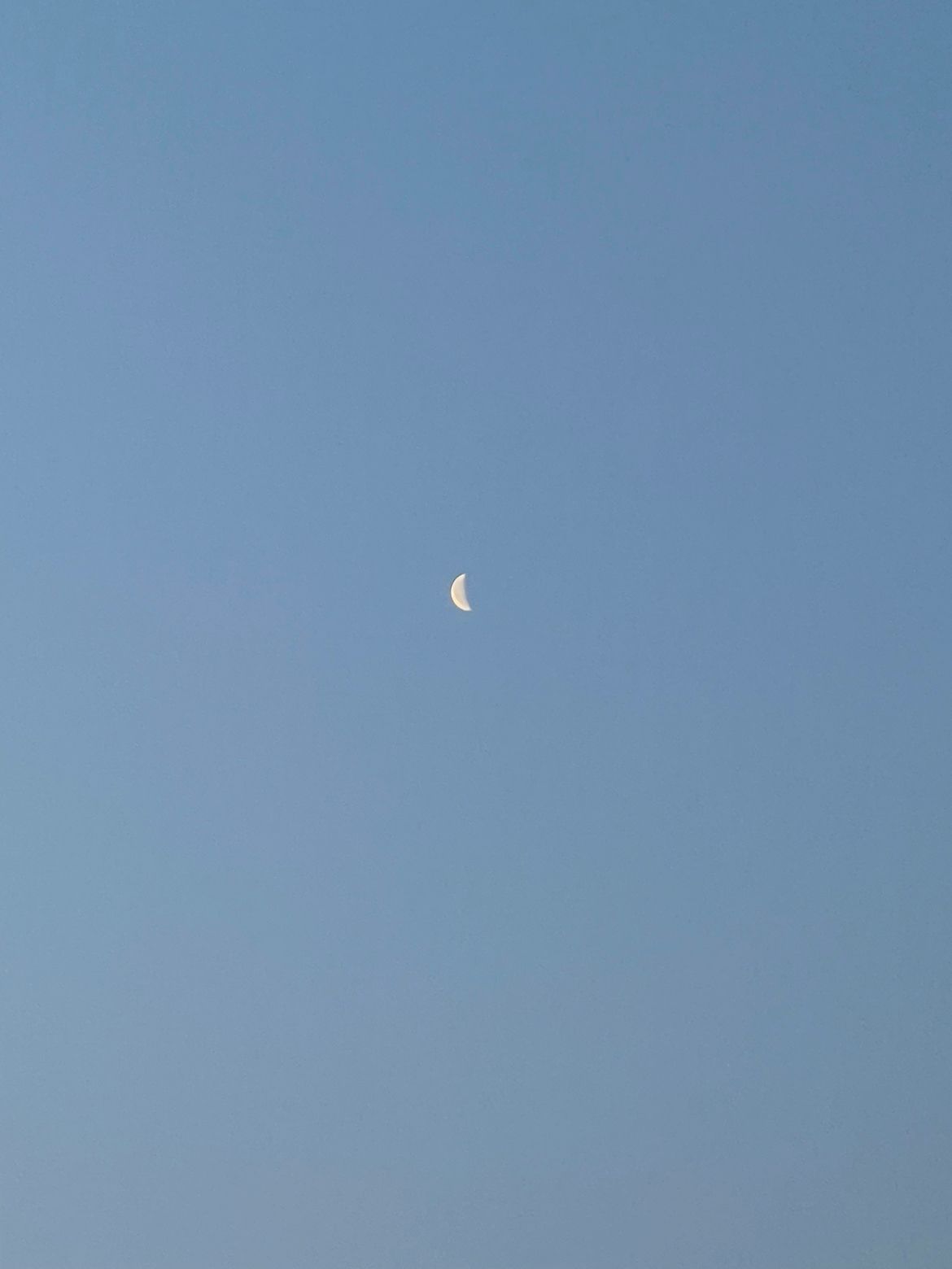🏕️텐트밖은천안2030🏕️ 앨범 사진