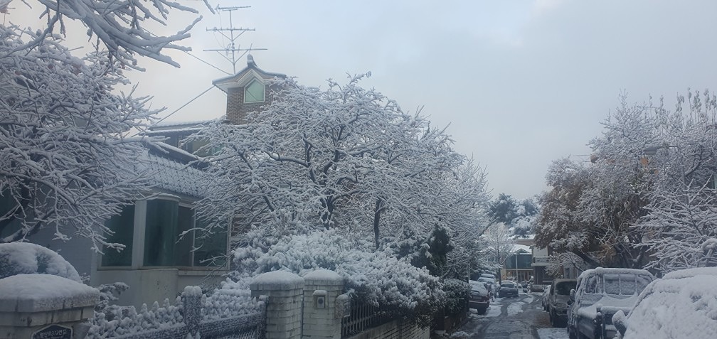 안녕하세요 
처음 가입했습니다 
처음이라 어색하고 쑥스러우 네요 
잘 부탁드립니다~^^