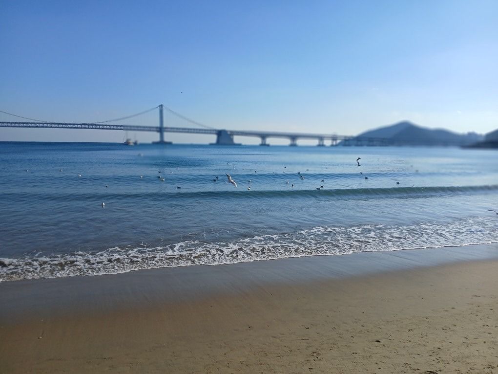 4560테마여행 앨범 사진