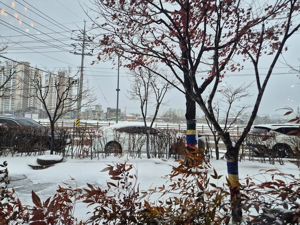 눈.바람이 엄청 부는데도 와주신 렌시아님 넘 방가웟어요~
담에 모임때 또 뵈요~^^