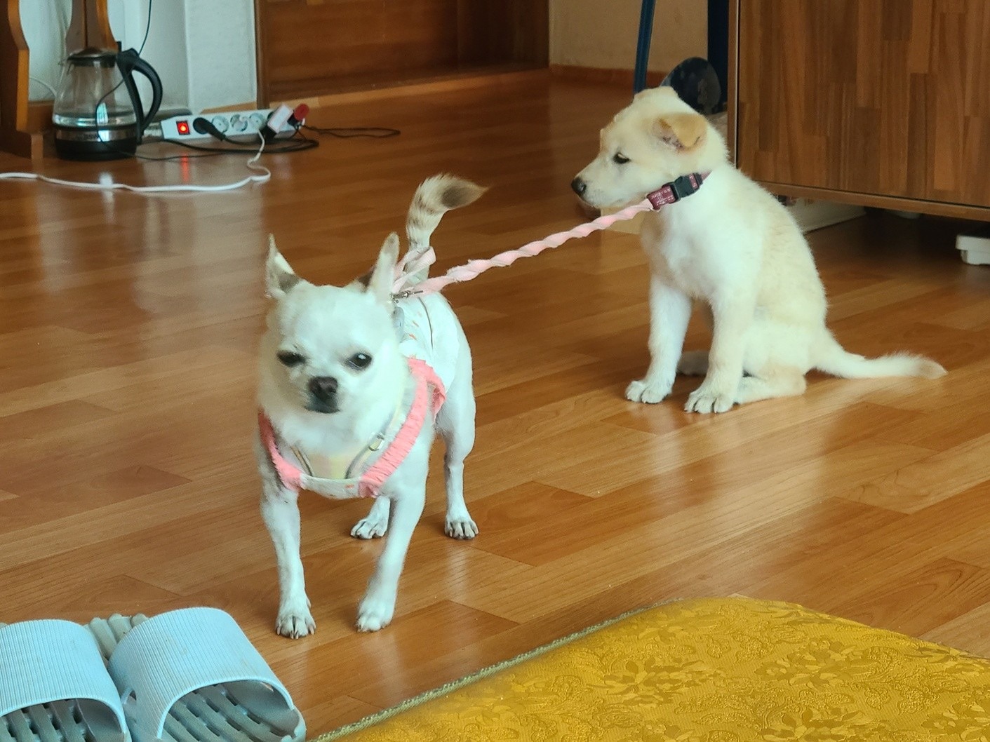 좀 ..
친해디라구 ...