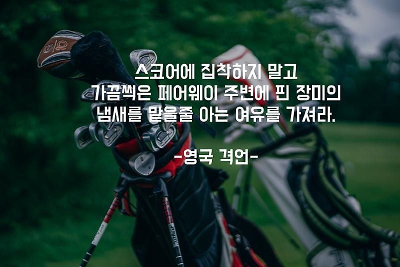 우리들골프 앨범 사진