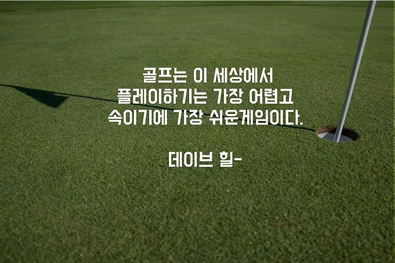우리들골프 앨범 사진