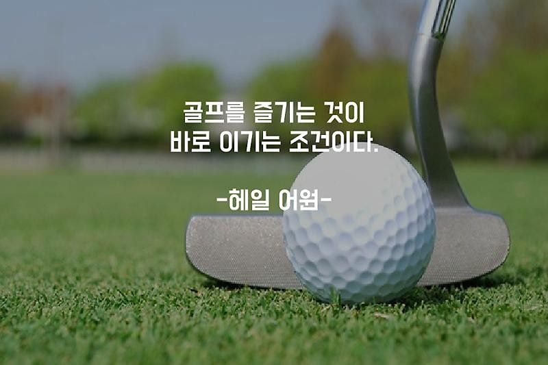 우리들골프 앨범 사진