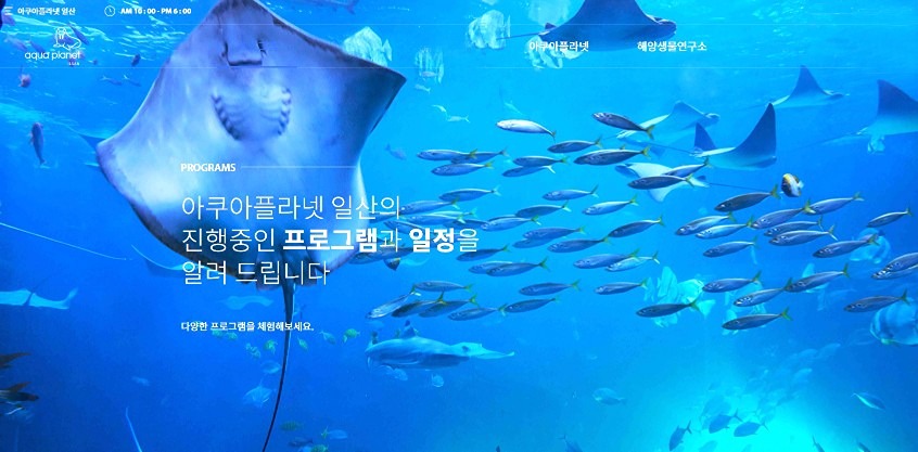 2월 정기촬영 모임 - 아쿠아플라넷 일산