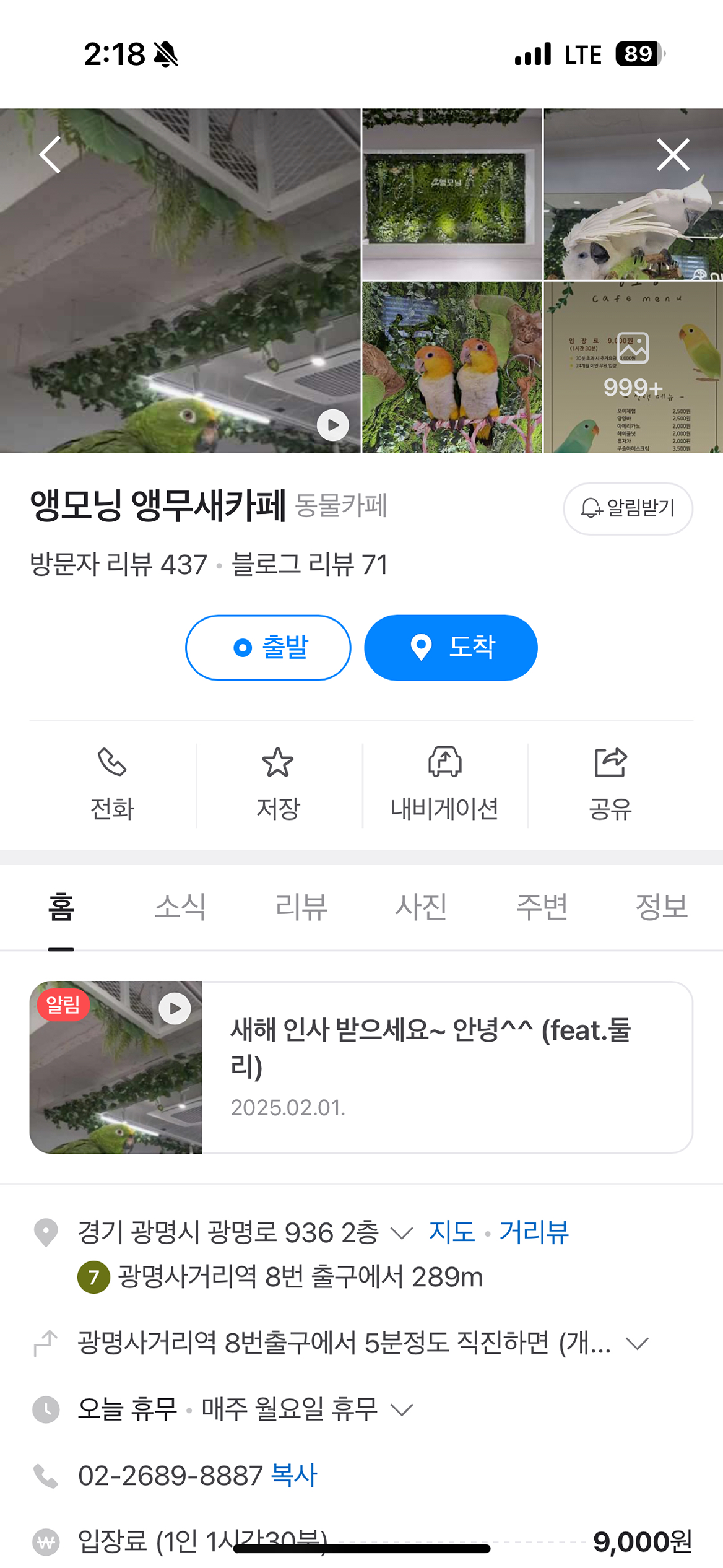 앵무새 모임