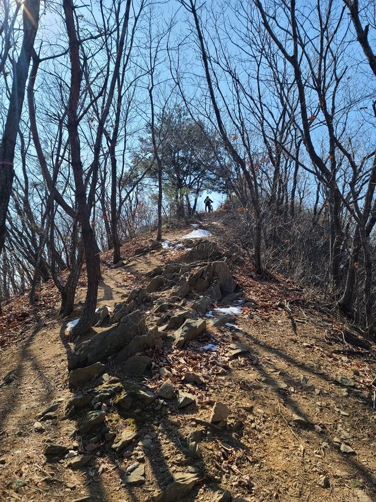 라이딩, 자전거 앨범 사진