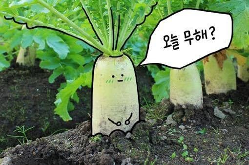 무해인