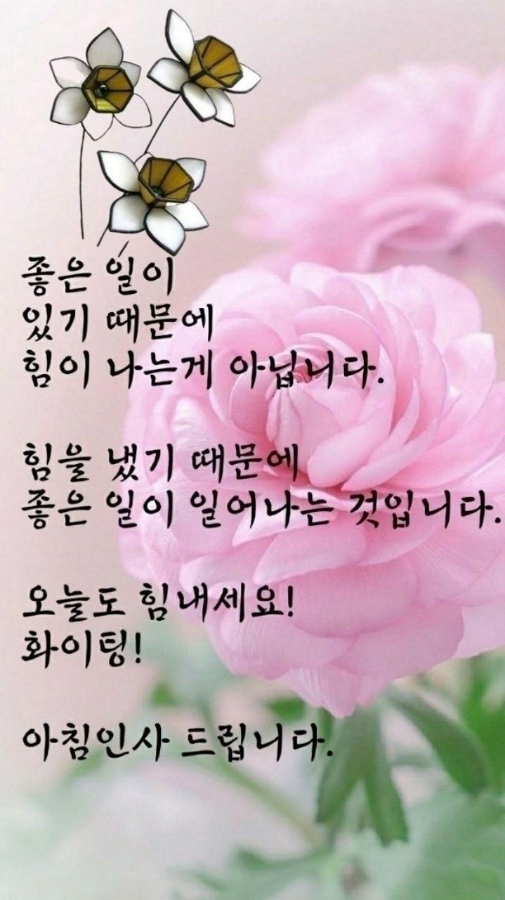 여행모임 앨범 사진
