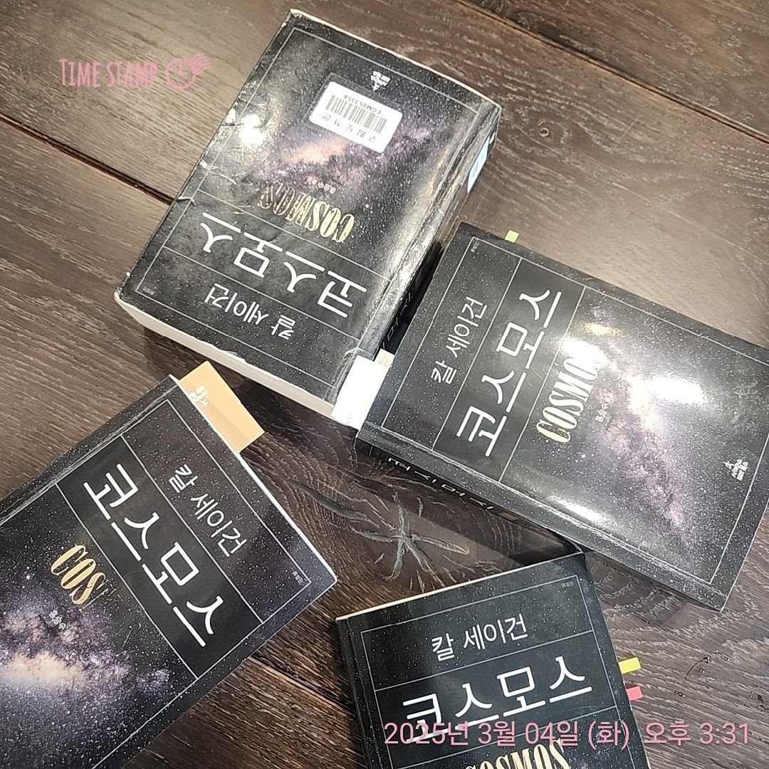 여성독서 앨범 사진
