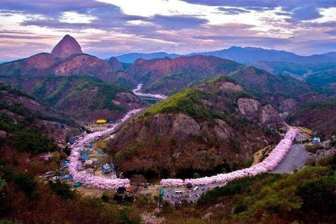 ⛰️💯대 명산 마이산⛰️ 벚꽃🌸 산행