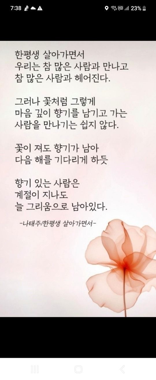 동네 친구들 앨범 사진