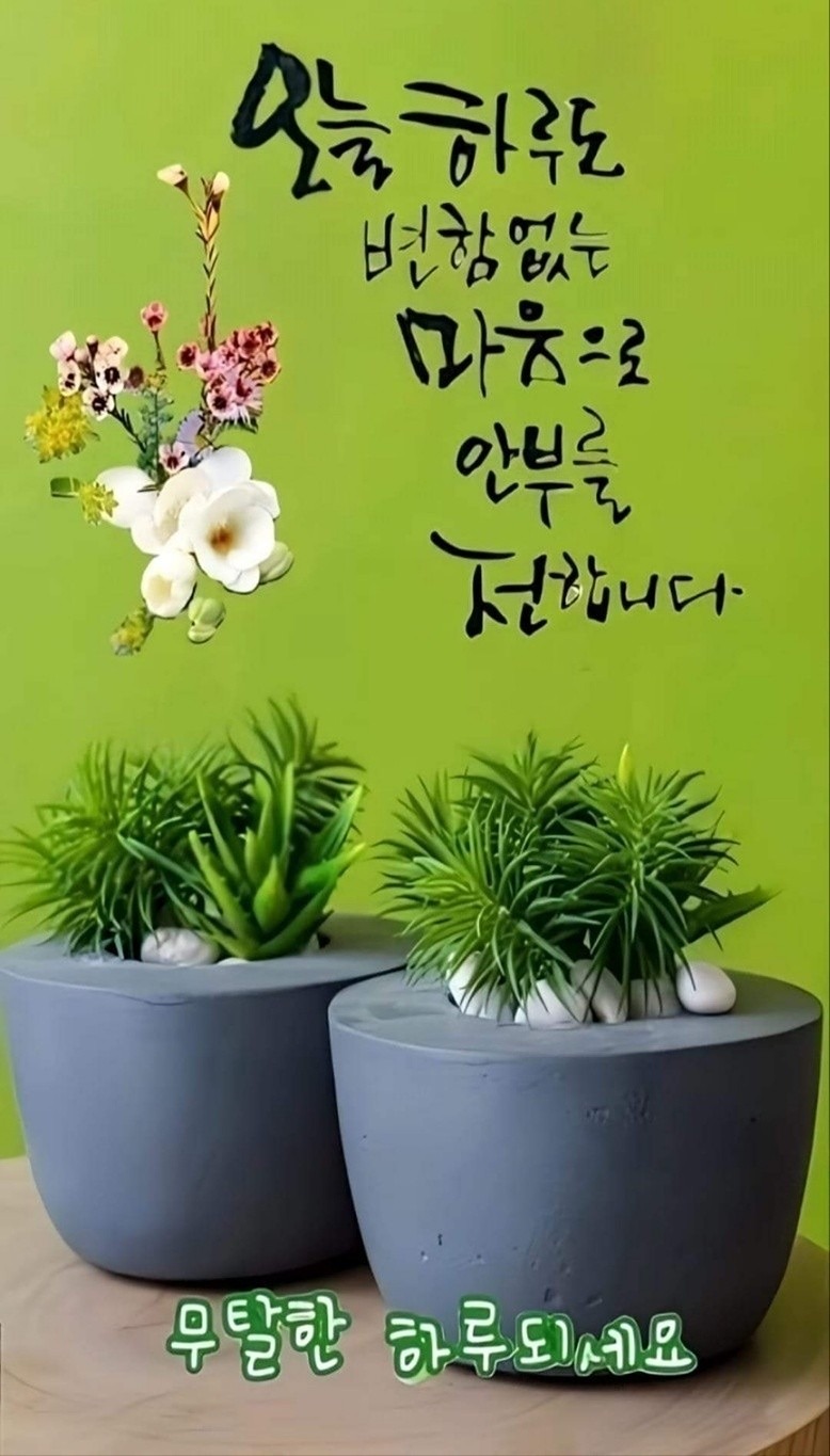 3월 정기모임