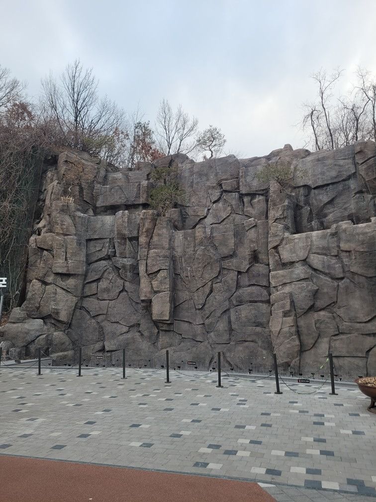 50대만을 위한 친구방 앨범 사진