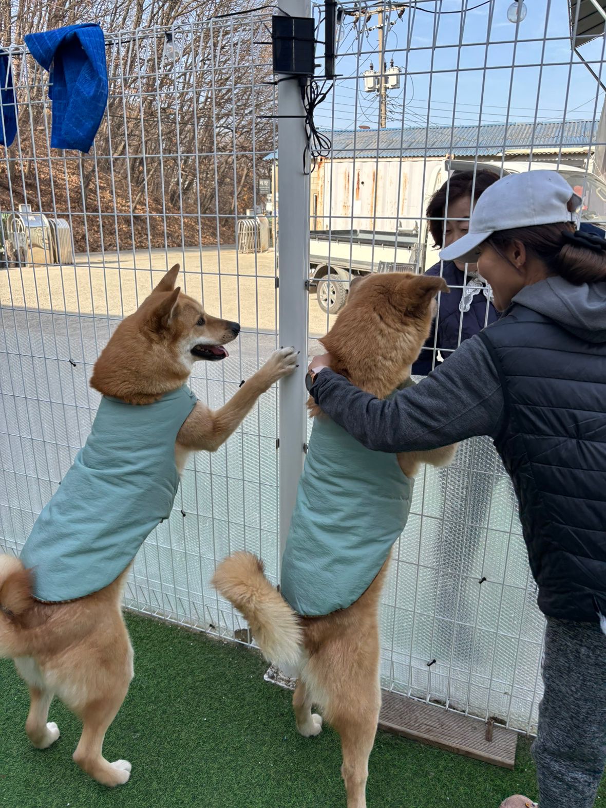 행복하개 쉼터 봉사모임 앨범 사진