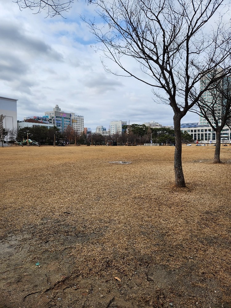 같이 산책해요!