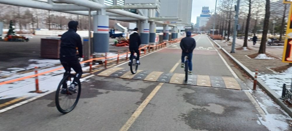 대전외발자전거 앨범 사진