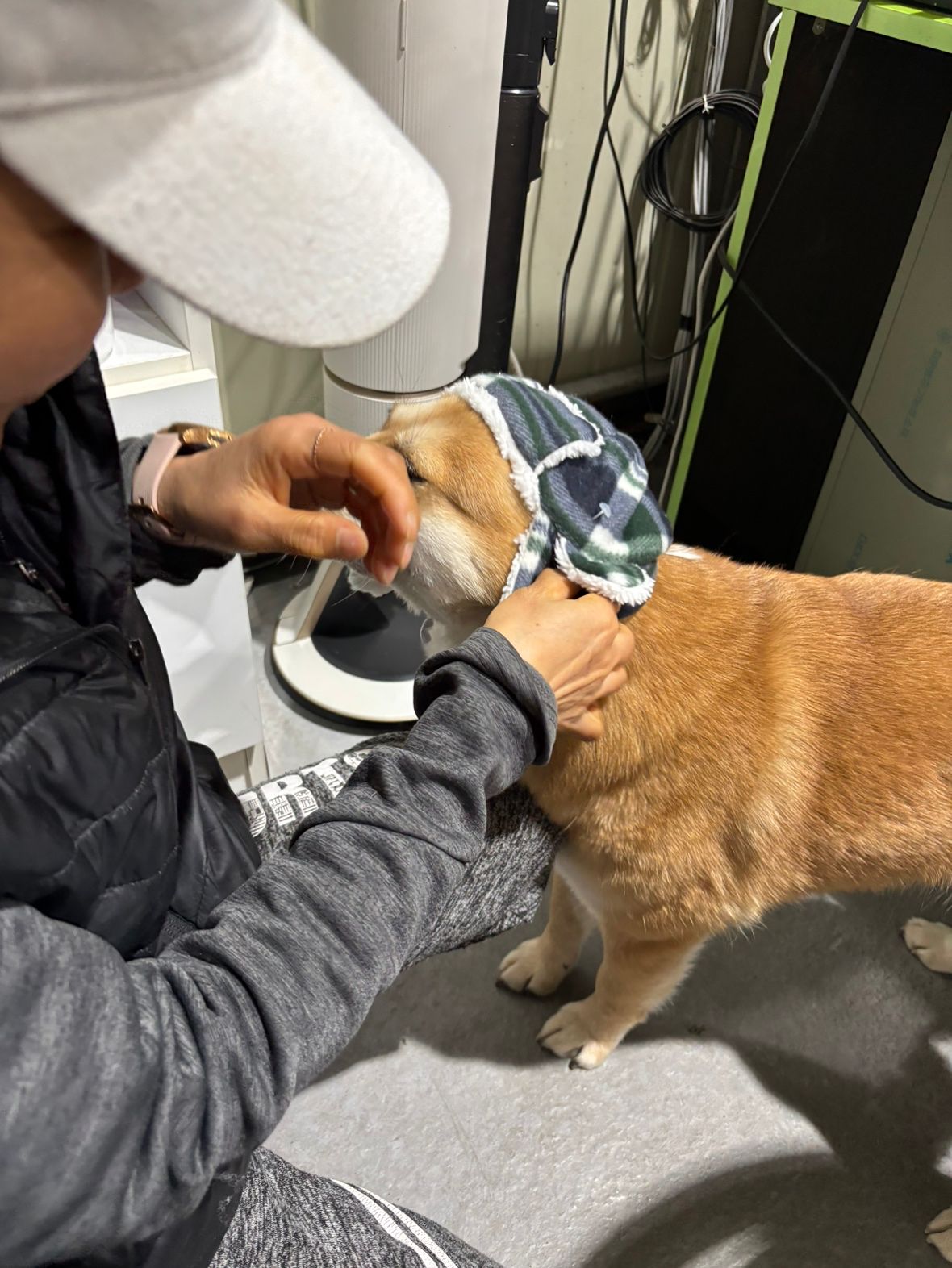 행복하개 쉼터 봉사모임 앨범 사진
