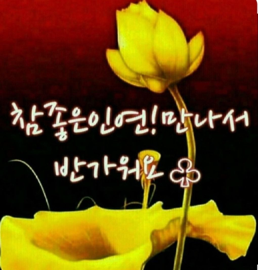 🍀인연5060모임방
