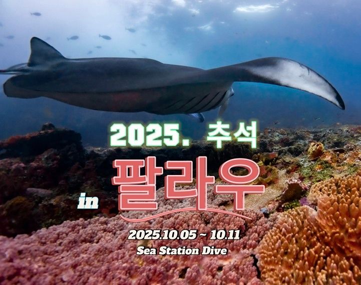 일산파주 다이버(스쿠버다이빙) 앨범 사진