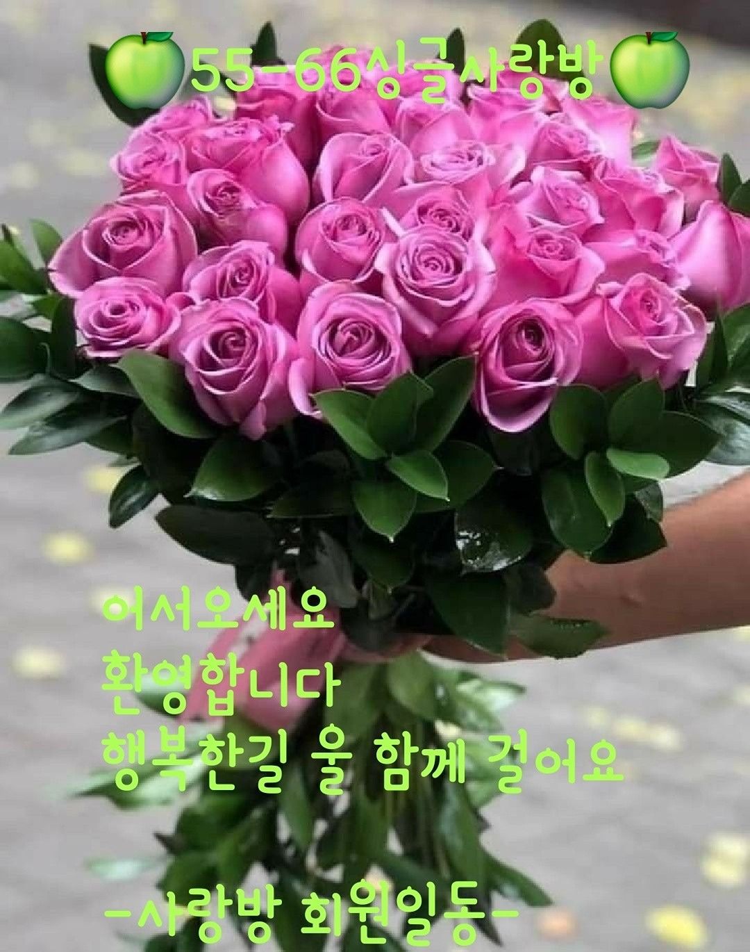 🍏50~~60~싱글사랑방🍏
