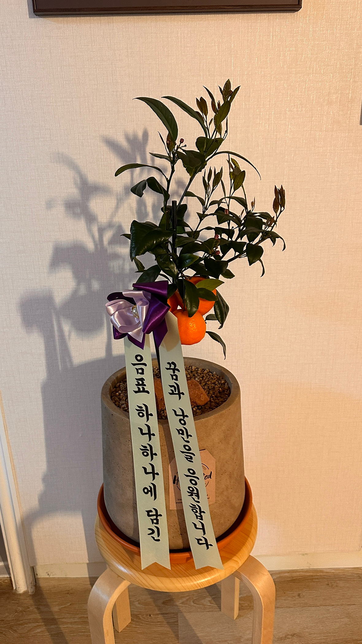 안녕하세요 운영자 유지은 이라고 합니다. 
이번주 토요일 오전 11시에 첫 모임을 추진해보려고 하는데, 희망하시는 분은 참여 등록 부탁드립니다😊 
기타가 처음이신분께는 제가 간단한 기타 설명 (너에게난 나에게넌) 해드릴 예정이고, 친목을 위해 음악이야기나 여러이야기들을 편하게 이야기를 나눠보아요☕️ 
참여비는 3000원이고, 커피나 차 한잔을 제공합니다!
참여 희망 인원 3명 이상이 모여야 의미가 있을것같아서 많은 참여 부탁드립니다😊
일정 누르셔서 3/29 일정에 참여버튼 눌러주세요 감사합니다~!