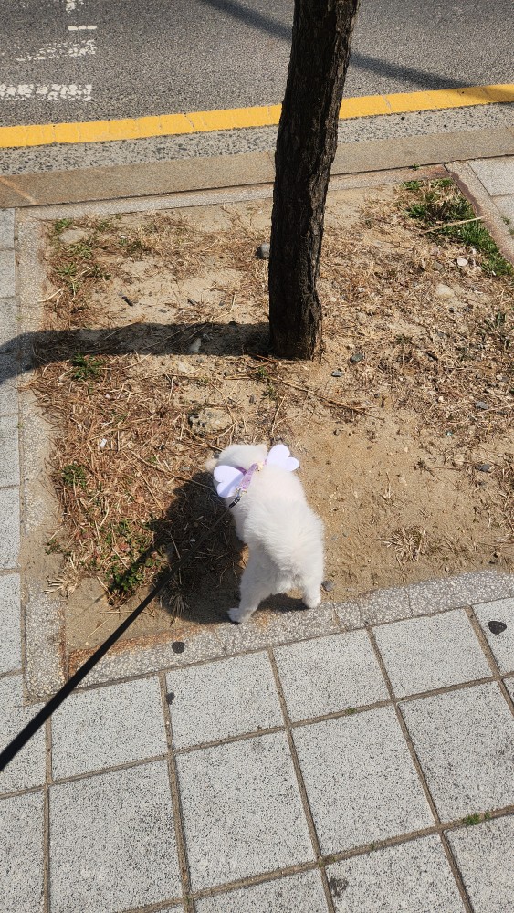감쟈 동생 ㅎ 딸기언니 써니언니  능력남 호잇님  
함께 해서 즐거웠습니다 ^^ 

맛있는 커피 감사 합니다 👏👏👏👏👏👏👍
다음에 또 뵈여 ~~