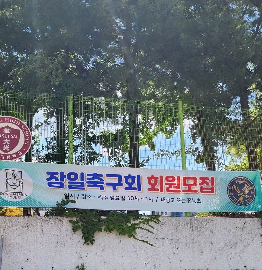 일요일 오전 축구 (동대문구 인조잔디) 앨범 사진